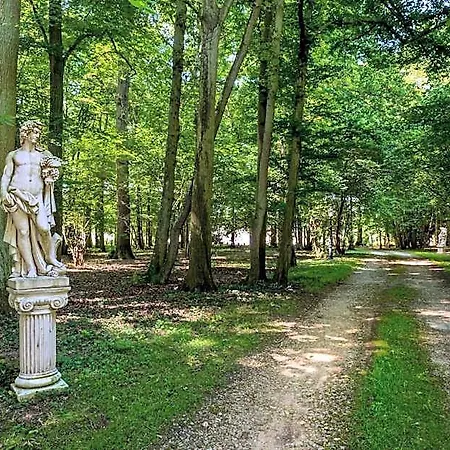 Oda ve Kahvaltı Domaine Du Bois Des Anges Germigny-l'Eveque