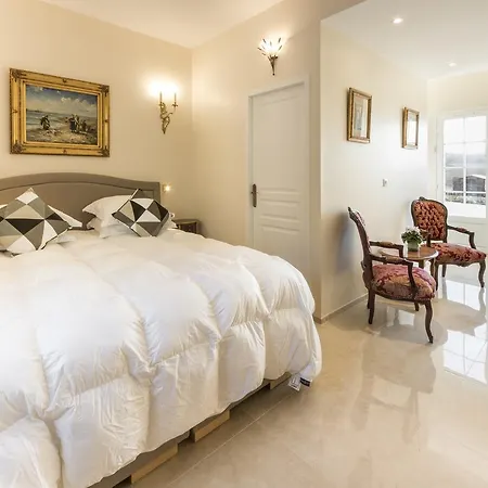 Domaine Du Bois Des Anges 4* Germigny-l'Eveque